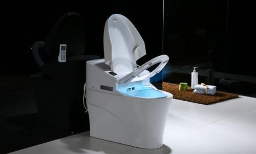 衛(wèi)鷹商用智能馬桶蓋
