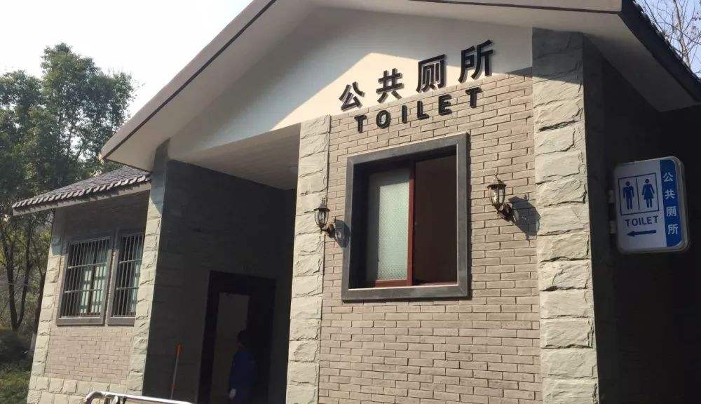 衛(wèi)鷹衛(wèi)潔墊